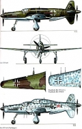 Vom Original zum Modell: Dornier Do 335