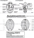 Rssler: Planmappe Die groen Walter-Uboote Typ XVIII & XXVI