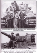 Tiger der Division Das Reich