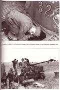 Tiger at War