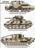 Polish Tanks 1939-1945