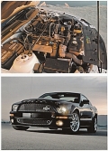 Shelby: Cobra - Mustang - GT40