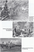 Die U.S. Cavalry im Zweiten Weltkrieg