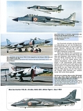 British Harriers - Teil 1: Der Gr.1/GR.3/T2 und T.4 ...