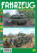 Die 10. Panzerdivision im Heer 2011