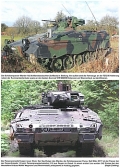 Die 10. Panzerdivision im Heer 2011