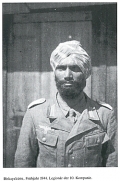 Im Zeichen des Tigers - Die indische Legion auf deutscher Seite 1941-1945