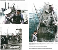 Auf groe Tiefe gegangen - Das Schicksal des Unterseebootes U 338 und seiner Besatzung 1942-1943