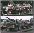SAS Panthers in Detail