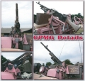 SAS Panthers in Detail
