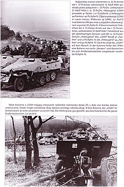 Panzer-Modellbau/Bildband Vuksic Velimir Waffen-SS an der Ostfront 1943-1945 
